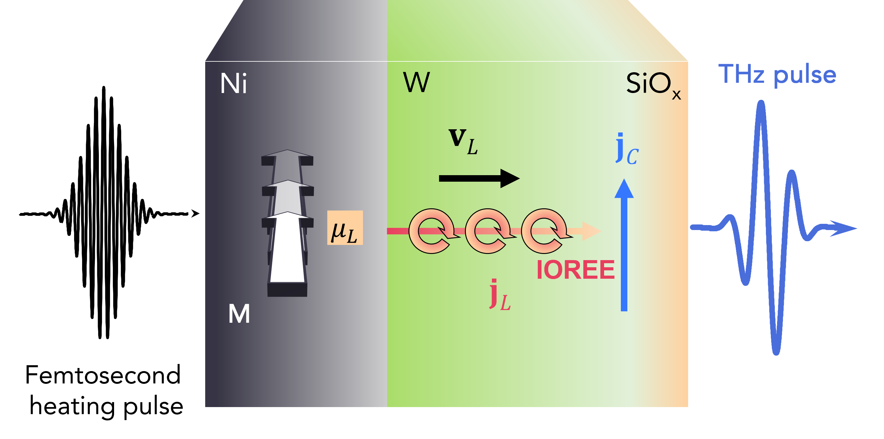 Time-domain observation of ballistic orbital-angular-momentum currents with giant relaxation length in tungsten